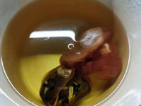 tisana calze